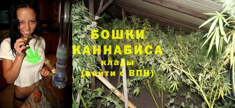 купить наркотики сайты  гидра   Бошки Шишки Ganja  Большой Камень 